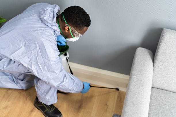 Best Pest Exclusion Services  in New Market, AL